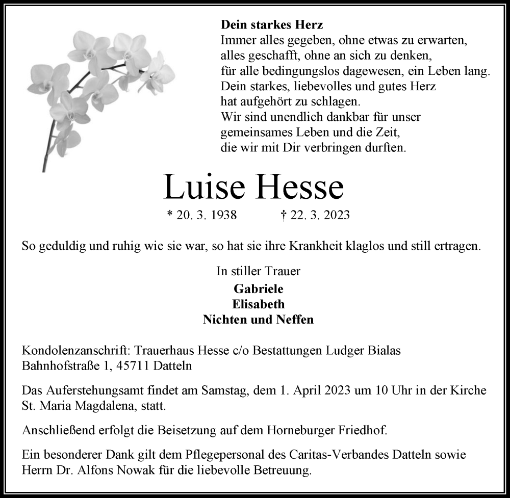  Traueranzeige für Luise Hesse vom 29.03.2023 aus Medienhaus Bauer