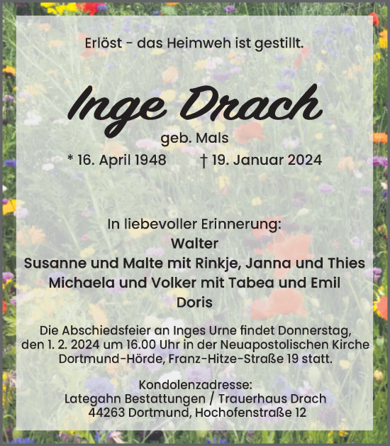 Traueranzeige von Inge Drach 