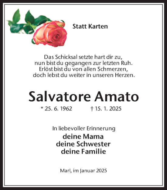 Traueranzeige von Salvatore Amato von Trauer Vest