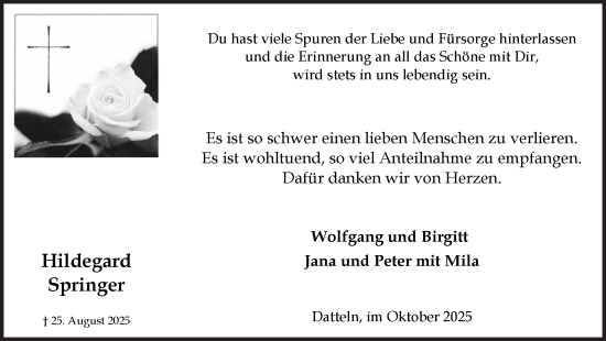 Traueranzeige von Hildegard Springer von Trauer Vest
