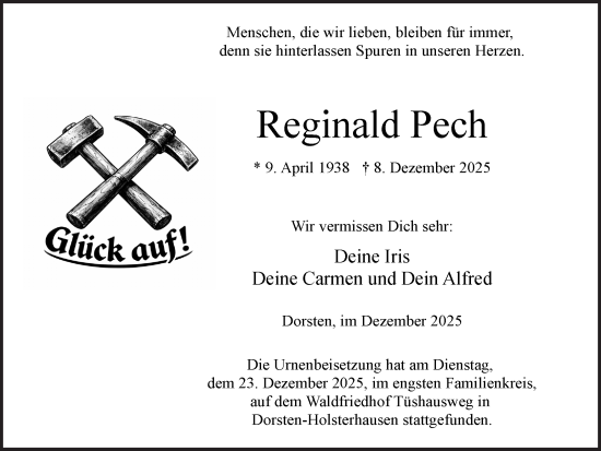 Traueranzeige von Reginald Pech von Ruhr Nachrichten und Dorstener Zeitung