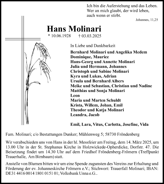 Traueranzeige von Hans Molinari von Hellweger Anzeiger