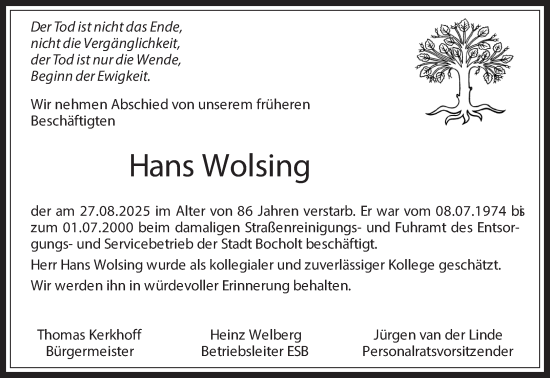 Traueranzeige von Hans Wolsing 