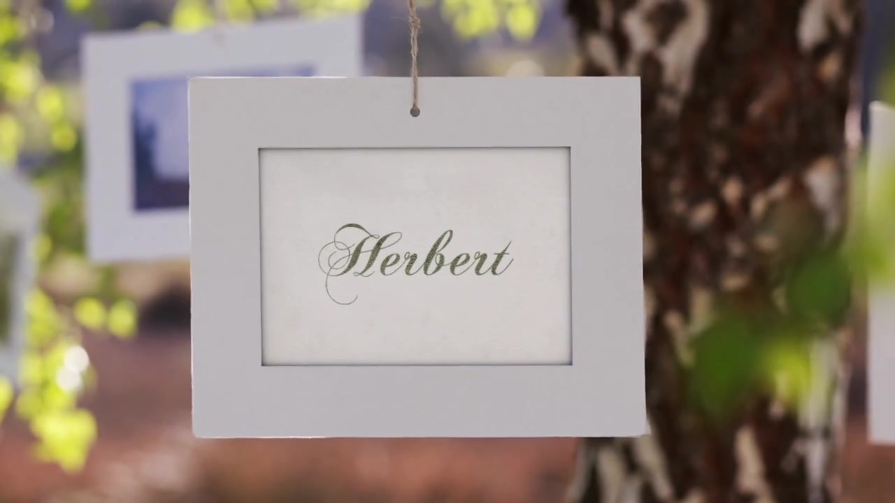 Video zur Traueranzeige 2