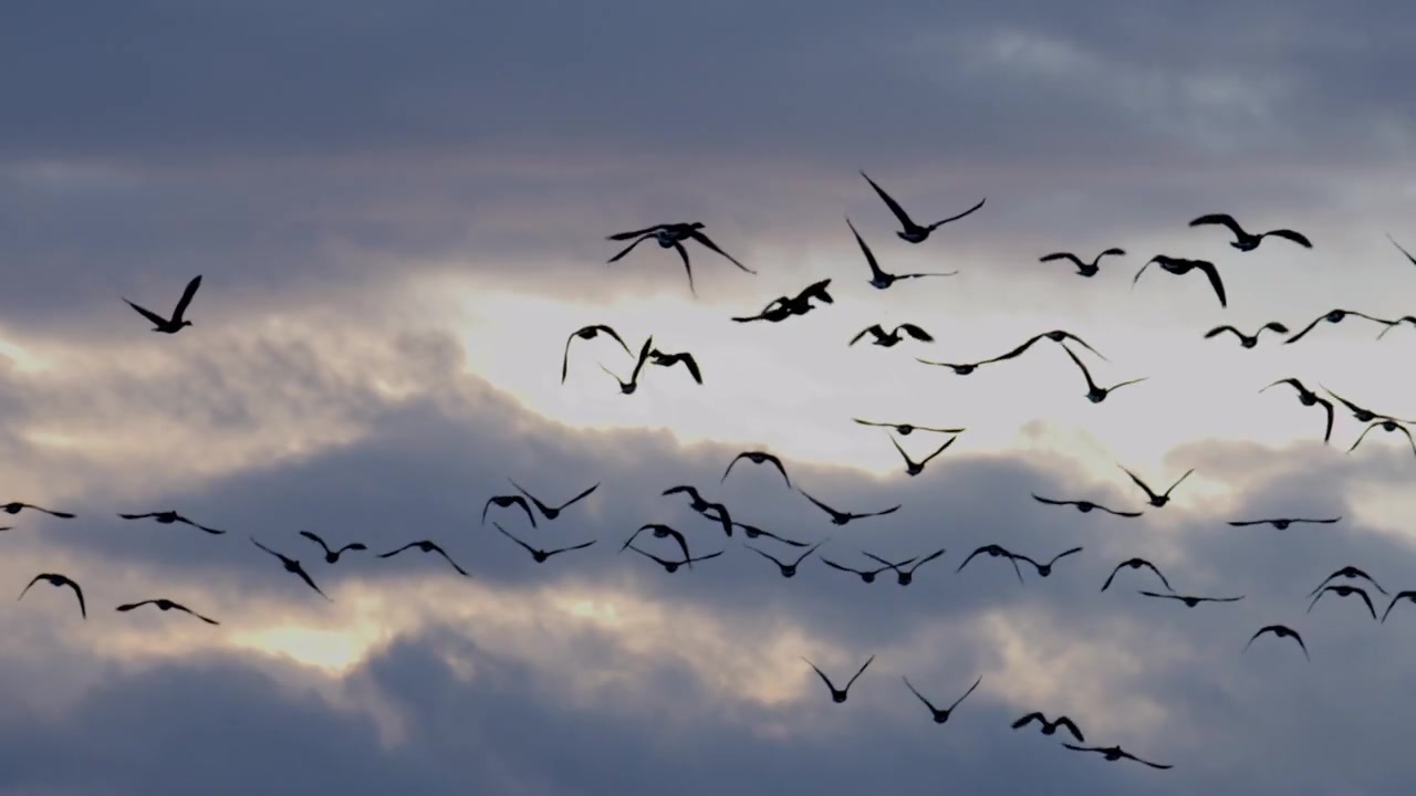 Video zur Traueranzeige 1