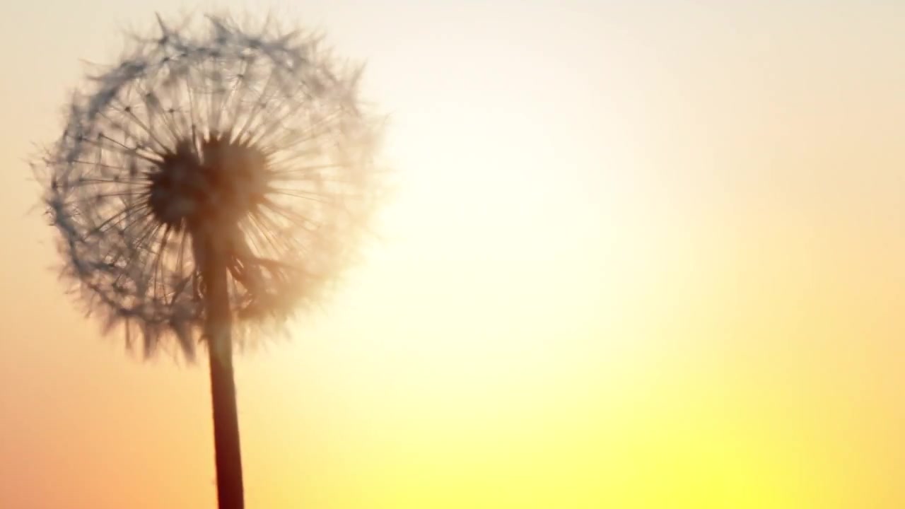 Video zur Traueranzeige 1