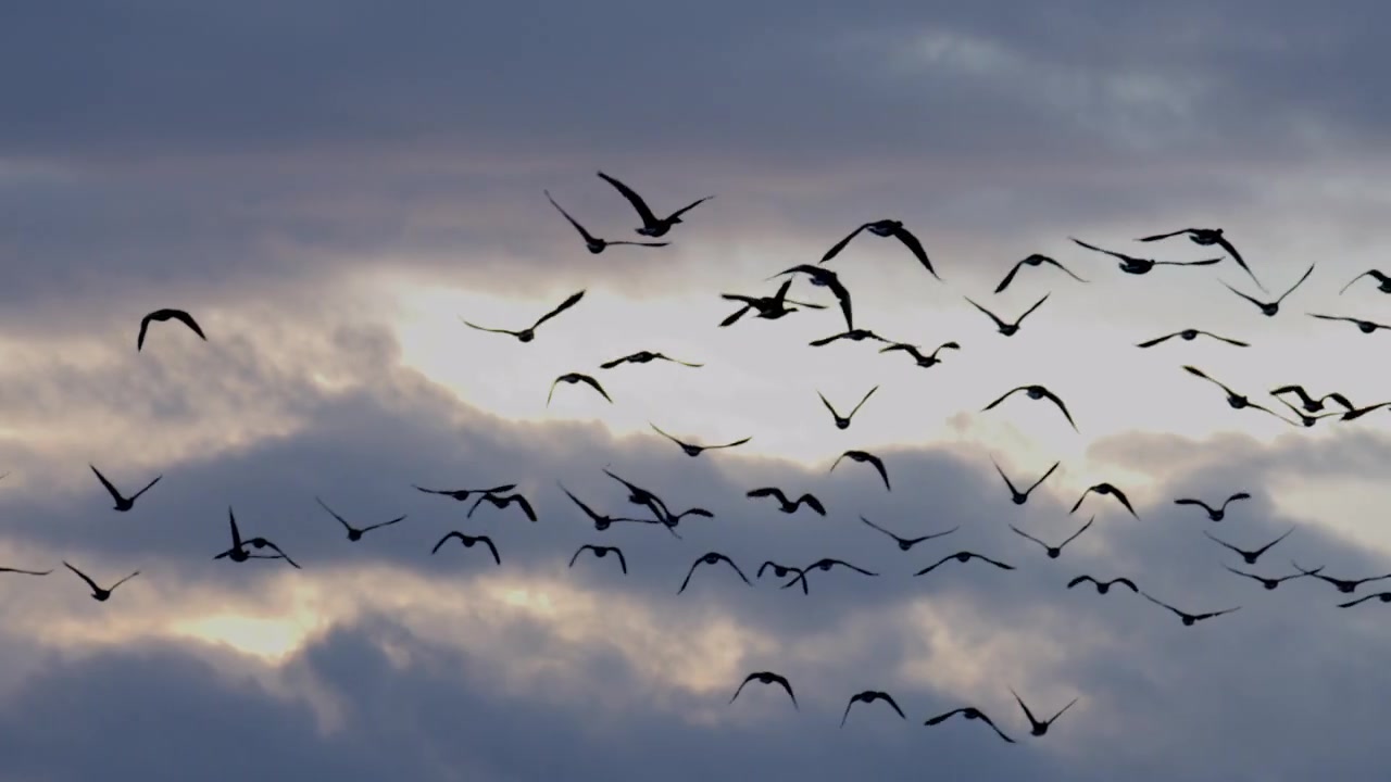 Video zur Traueranzeige 1